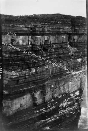 BALLYCASTLE DOONABRISTA ROCK E.SIDE OF ROCK SHOWING BIRDS